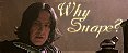 Why Snape?